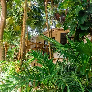Отель Casa Ambar & Boutique (adults Only)